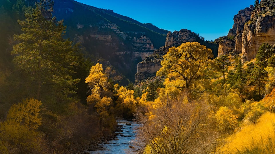 A canyon with a river, autumn-colored trees, and rocky cliffs.