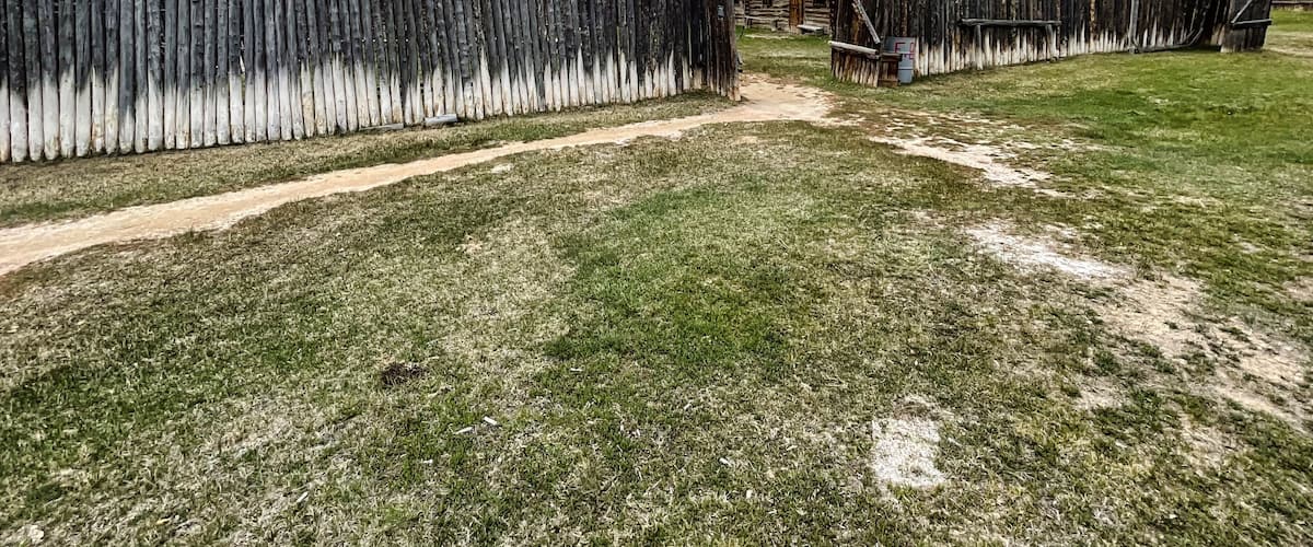 A fenced yard with a dirt path leading to a wooden structure.