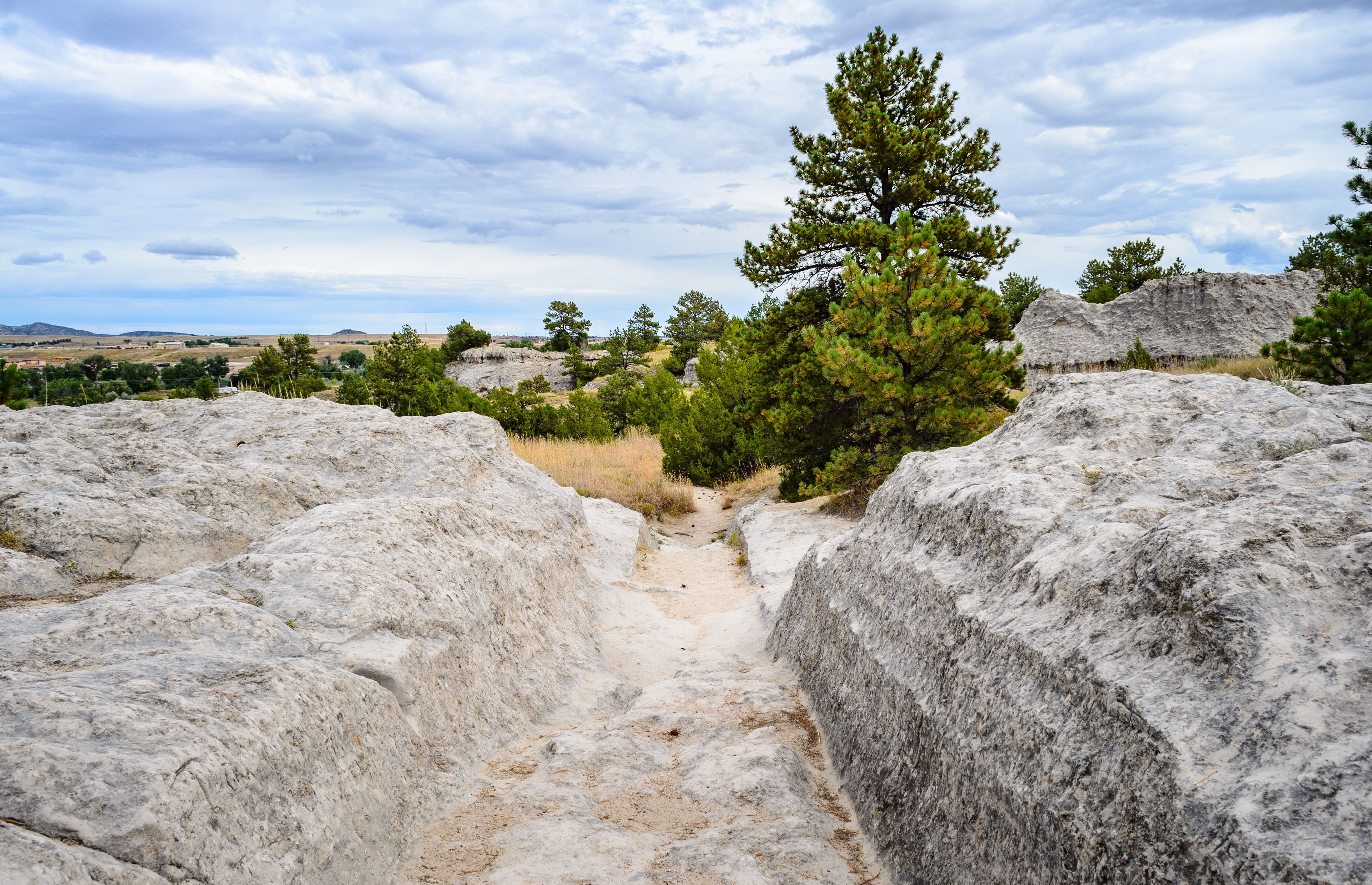 A rocky landscape with a clear path leading through it, surrounded by trees and a distant view of hills.
