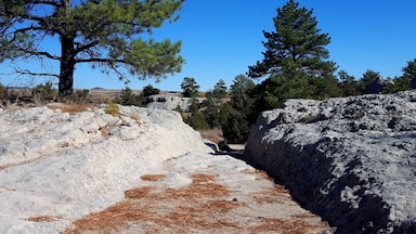 Pretty amazing that you can still see the path worn by wagons heading west on the Oregon Trail! Just down the road is another cool spot called Register Cliffs. #endlesssummer