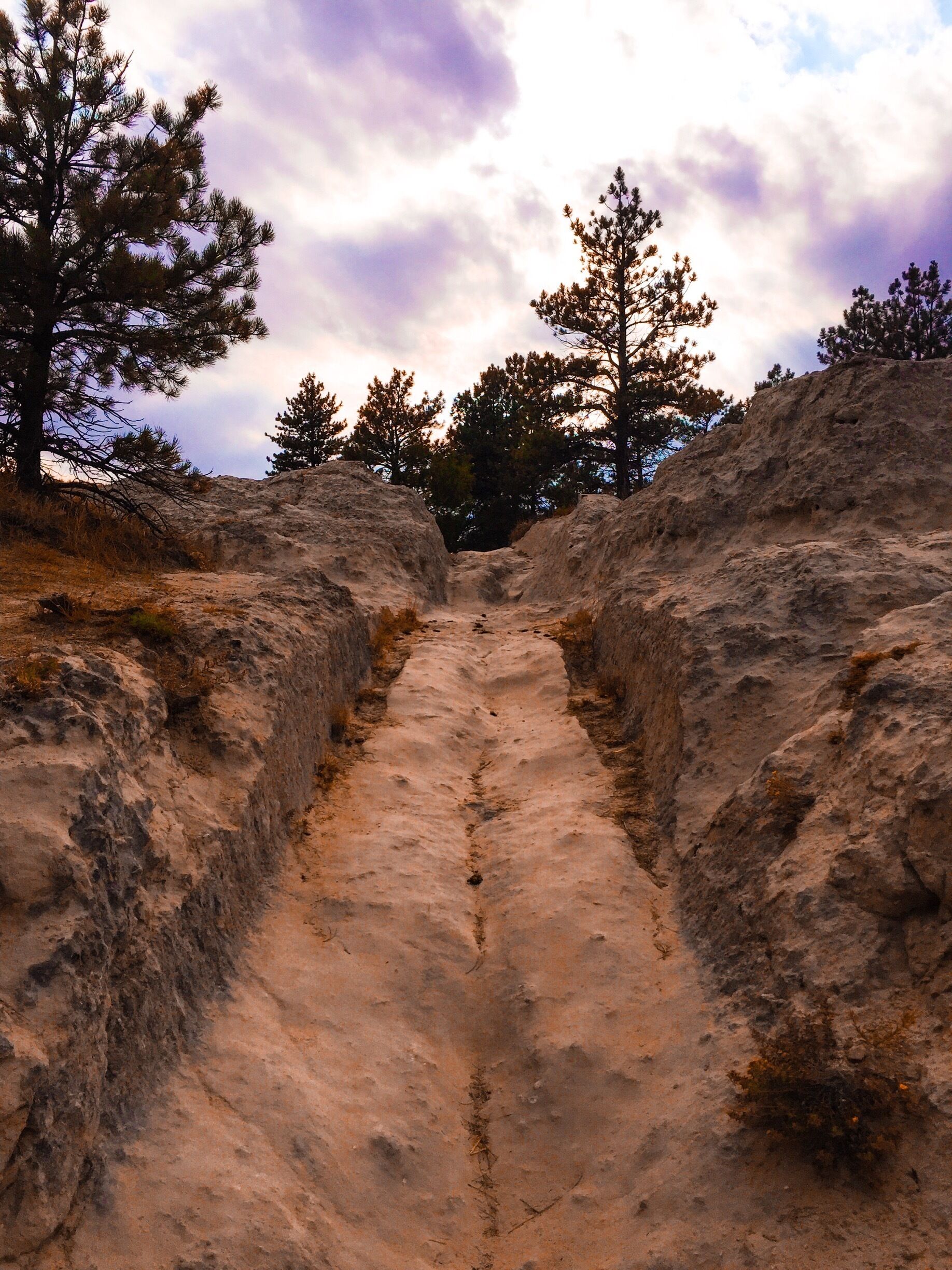 Westward Ho. Wagon wheel ruts in Guernsey Wyoming. Unbelievable when you look at the terrain. 