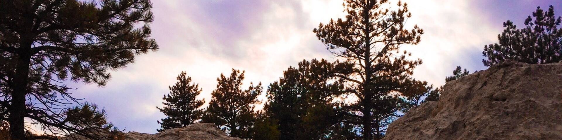 Westward Ho. Wagon wheel ruts in Guernsey Wyoming. Unbelievable when you look at the terrain.