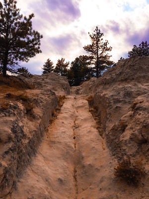 Westward Ho. Wagon wheel ruts in Guernsey Wyoming. Unbelievable when you look at the terrain.