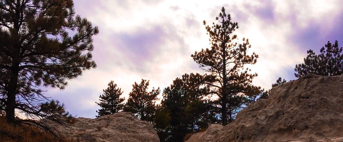 Westward Ho. Wagon wheel ruts in Guernsey Wyoming. Unbelievable when you look at the terrain.