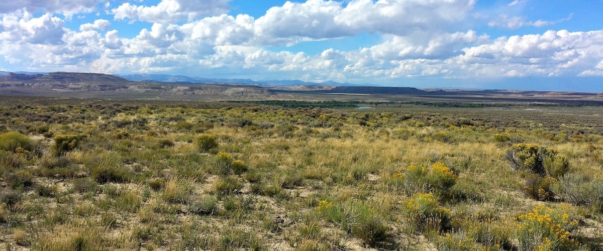 A vast desert landscape with sparse vegetation and distant mountains under a partly cloudy sky.
