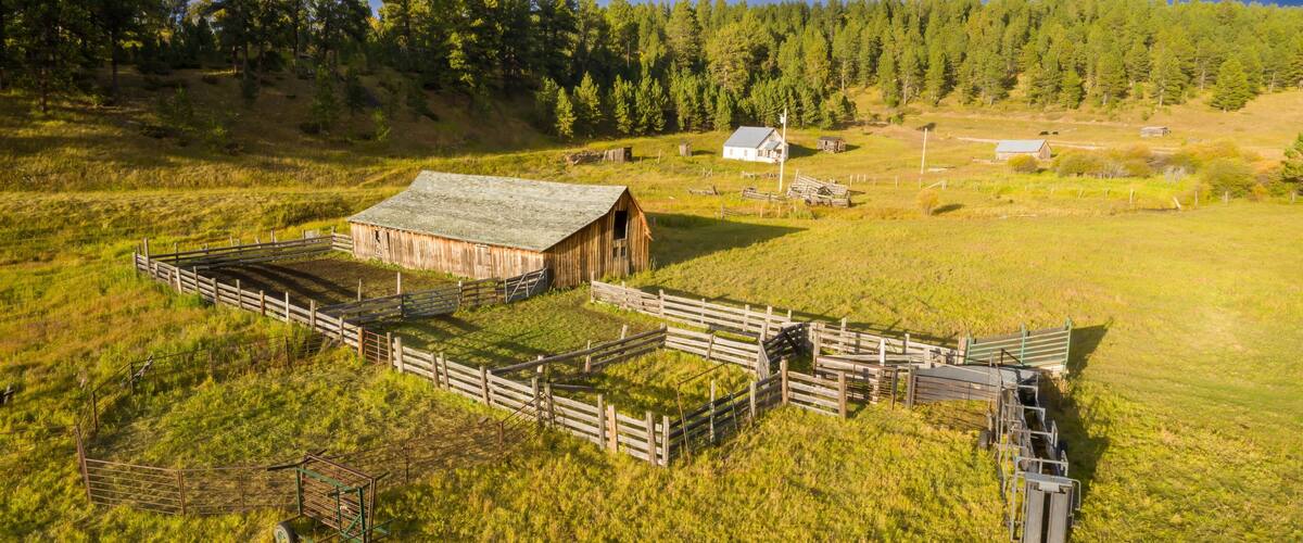 A rural landscape with a wooden barn, fenced paddock, and a forest in the background.