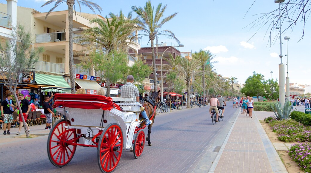 El Arenal featuring street scenes