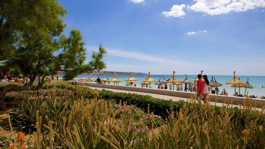 El Arenal featuring a park and general coastal views