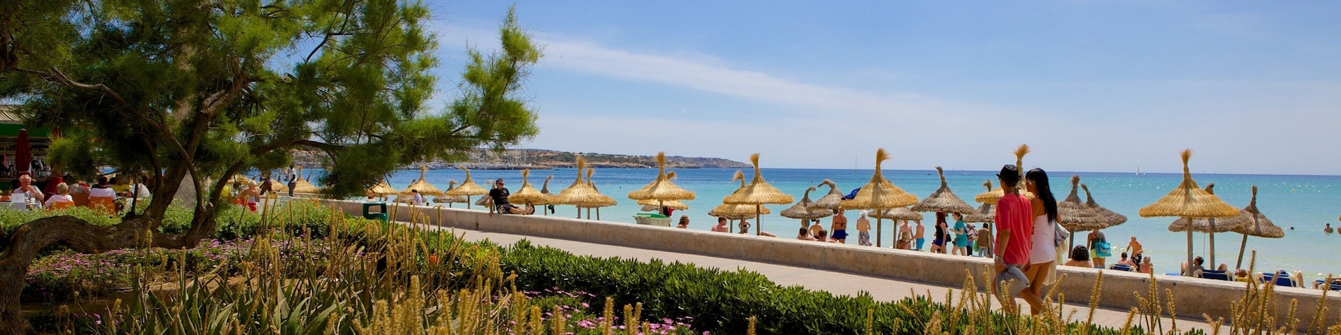 El Arenal featuring a park and general coastal views