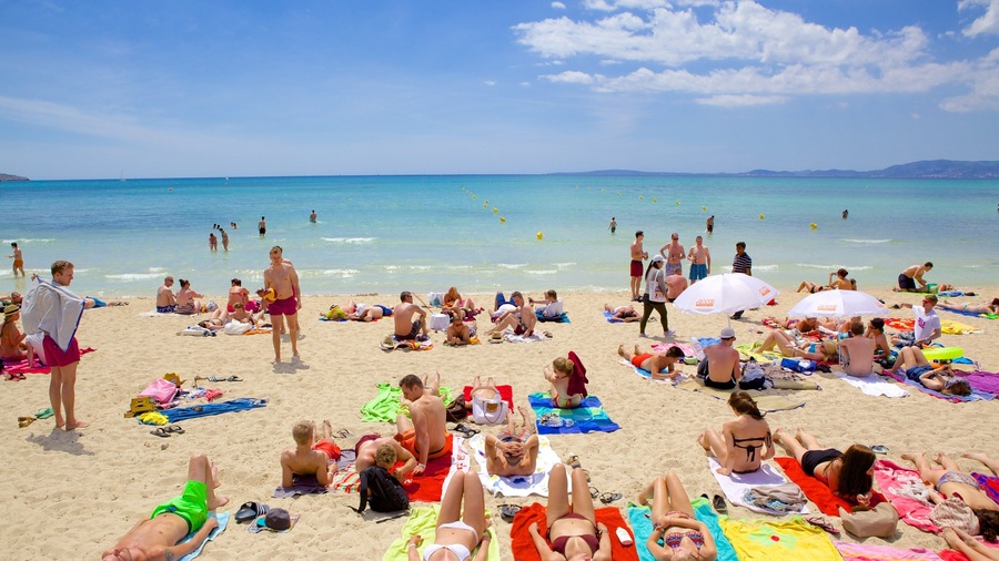 El Arenal showing a sandy beach as well as a large group of people