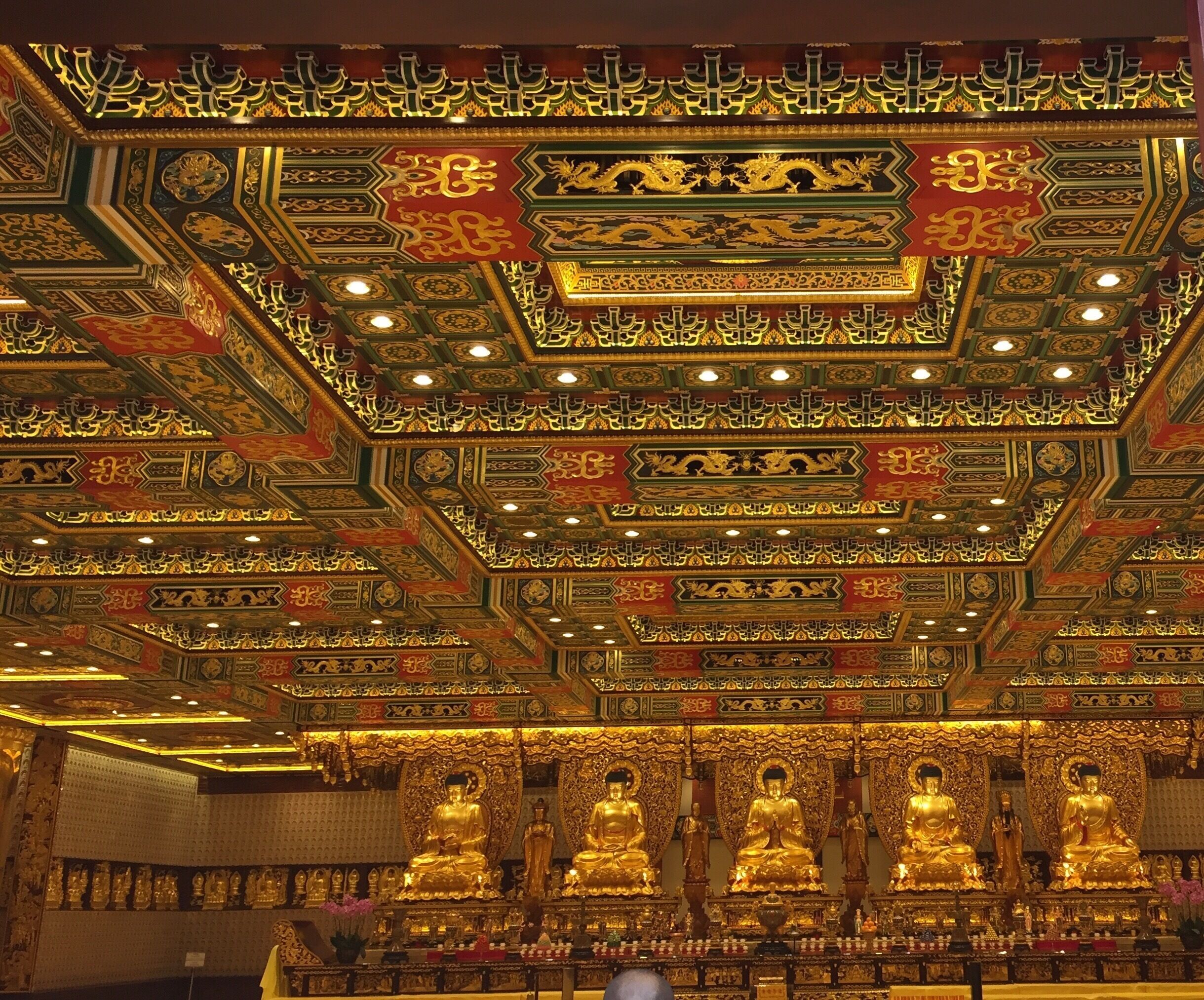 Don't know where to look, so much to see 