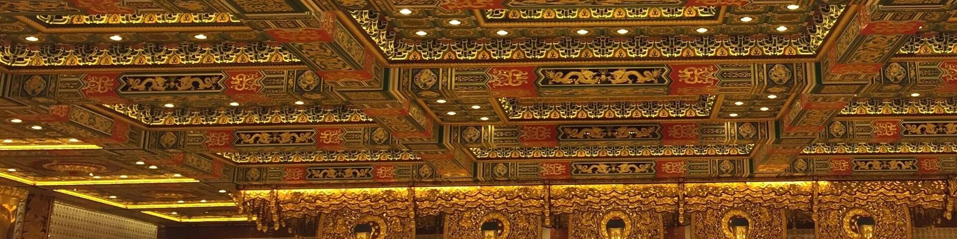 Don't know where to look, so much to see