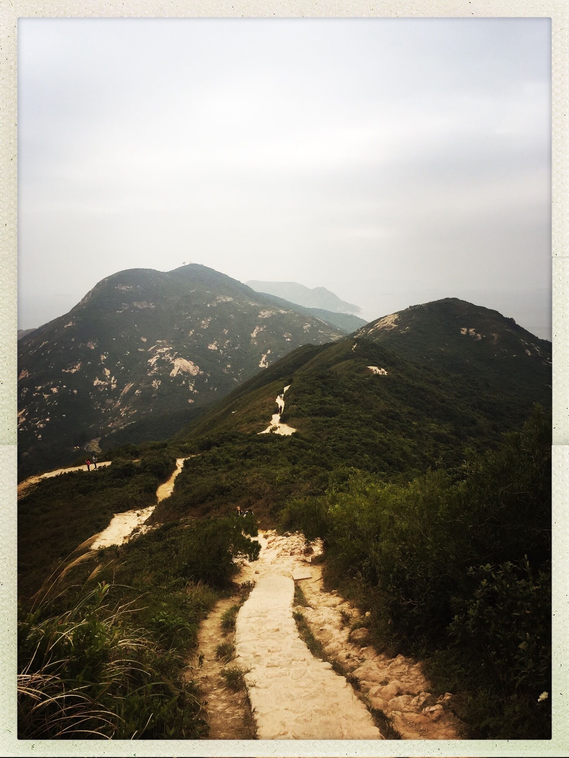 Dragons back trail on HKI