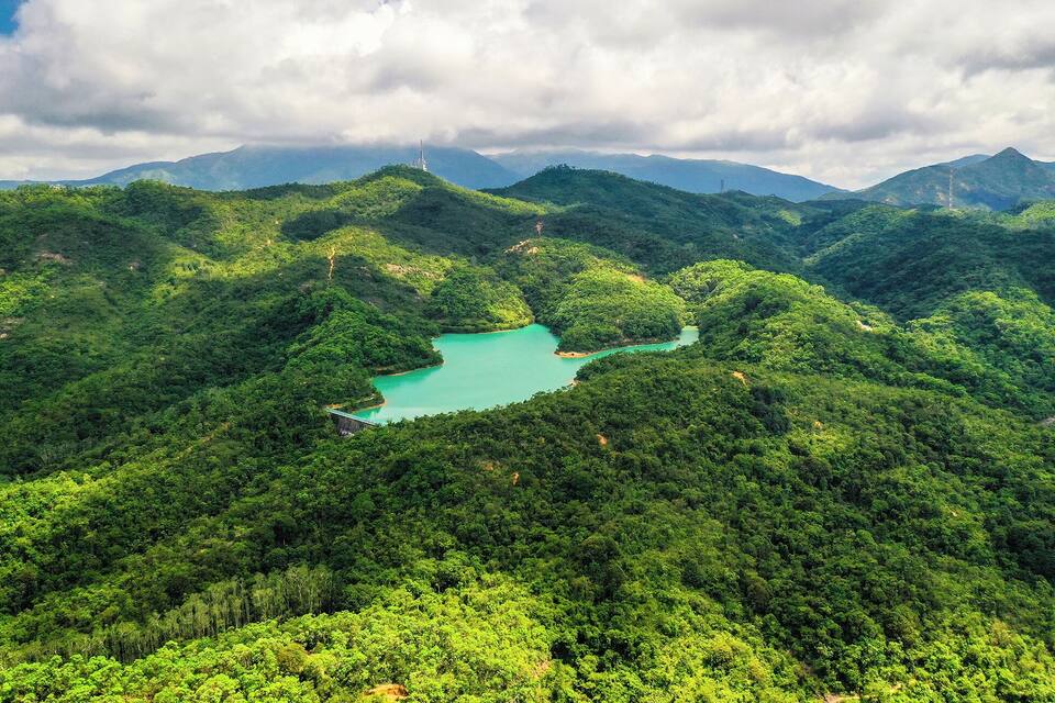 A lush green valley with a turquoise lake surrounded by dense forest and mountains in the background.
