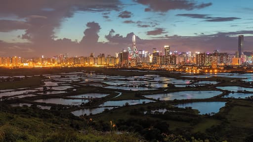 This is a great location for a sunset shoot contrasting fish farms in rural Hong Kong with the built up city of Shenzhen.
To get there you can take the 76K bus from either Yuen Long of Sheung Shui, get off at Ho Sheung Heung then take the green mini bus 51B from around the corner to Ma Tso Lung Shun Yee San Tsuen. From there it's a 150m hike up the old road to the former police post. The best spot is a hill just to the north of the police post.