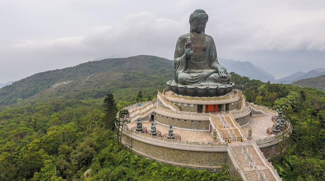 The world's largest statue of a seated Buddha on Lantau island in Hongkong.
#culture