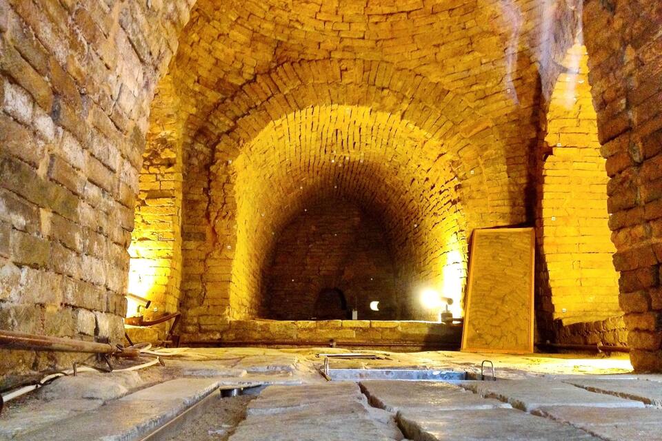 An arched brick tunnel with stone flooring and a wooden door at the end.