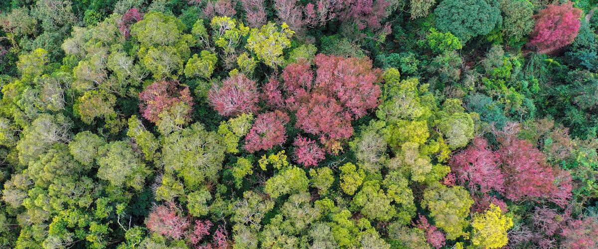 Hong Kong's country park also has colourful landscape.
#Nature
