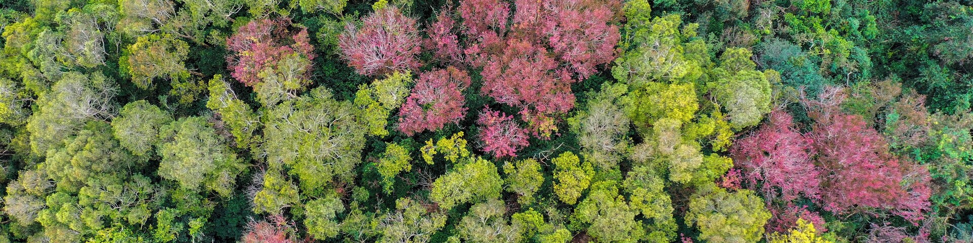 Hong Kong's country park also has colourful landscape.
#Nature