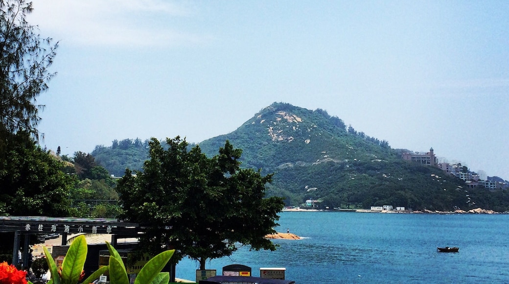 At the best restaurant the boat house