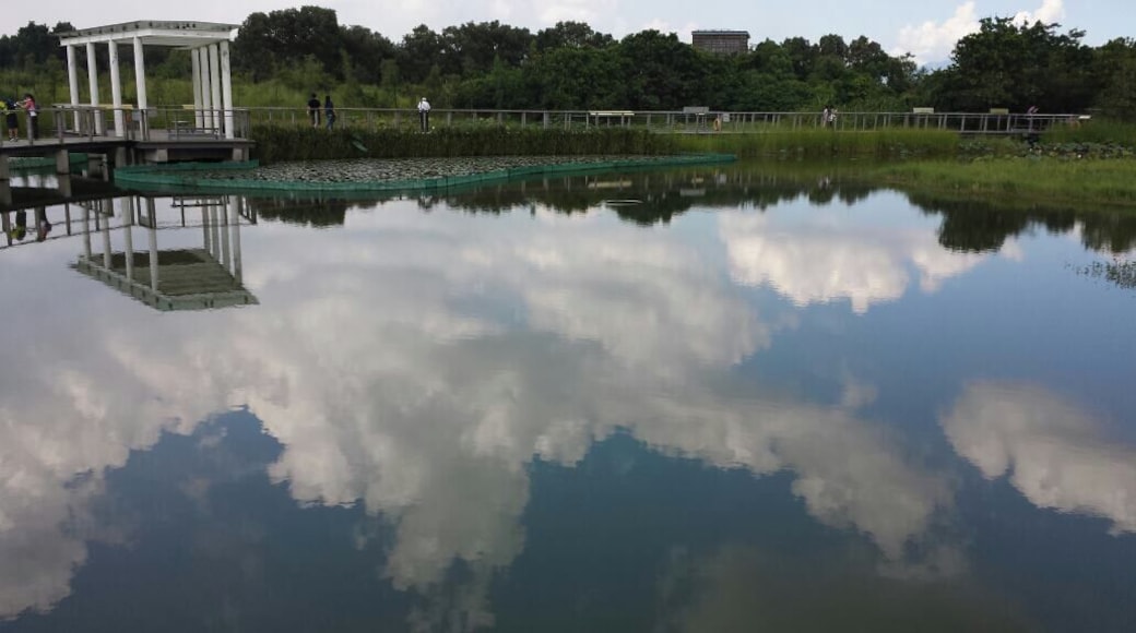 U can see spoonbill here