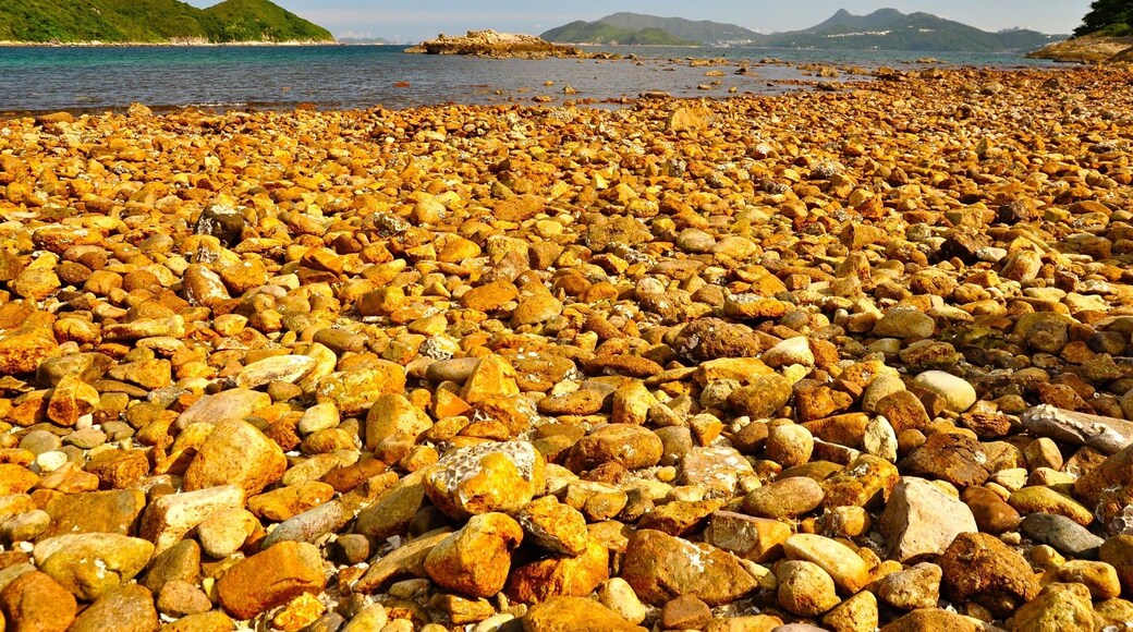 香港世界地質公園-橋嘴洲 Sharp Island-Hong Kong UNESCO Global Geopark.
Sharp Island is located in the Inner Port Shelter, to the southeast of the Sai Kung Town, from where it can easily be reached by small boat. The island is underlain by older volcanic-related sedimentary rocks. There is a tombolo reaching to a small island nearby at low tide.
#Asia #HongKong #TakeAHike #hiking #seashore #UNESCOGlobalGeopark #Golden