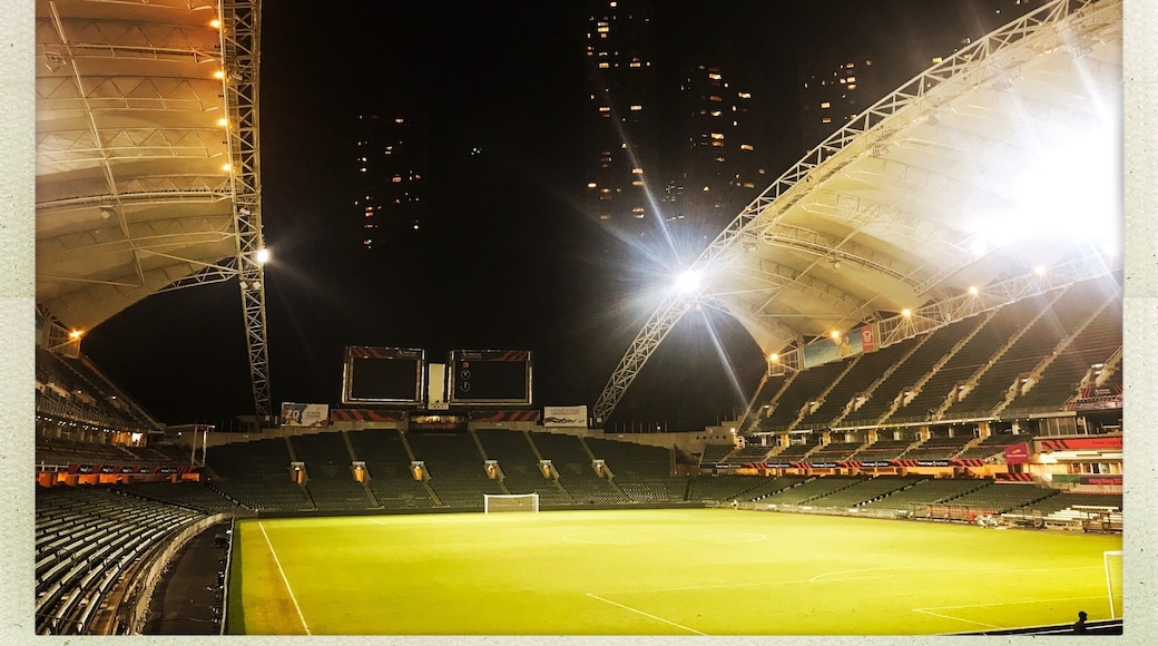 Peace and quiet after the Liverpool game in the Asia Cup