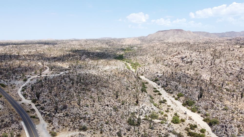 Un vaste paysage désertique, avec une végétation clairsemée, des routes sinueuses et des montagnes lointaines sous un ciel dégagé.