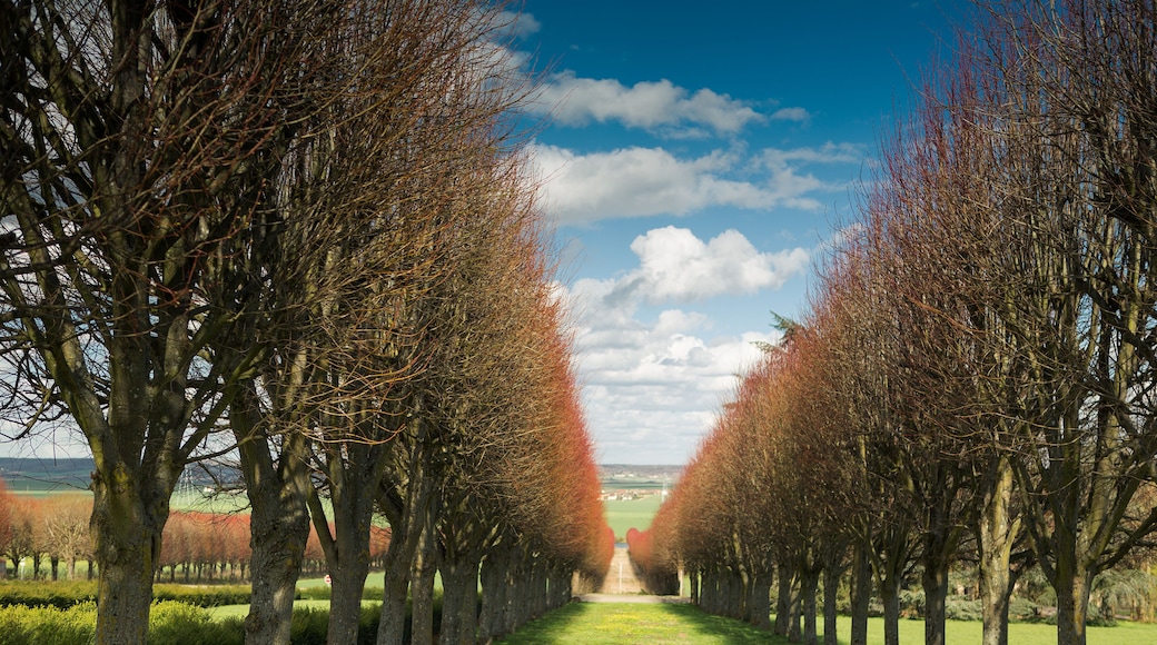 Thoiry Castle - Safari Park, the only park of its kind, located near Paris, and the first safari park in all of Europe.