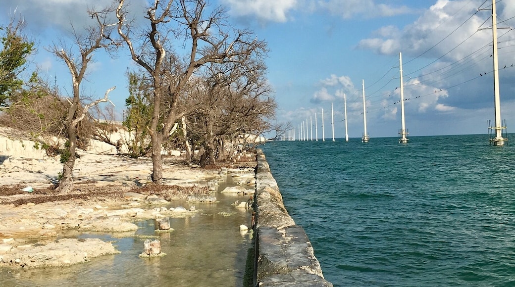 This is so pretty, we are on the way to Miami from Key West