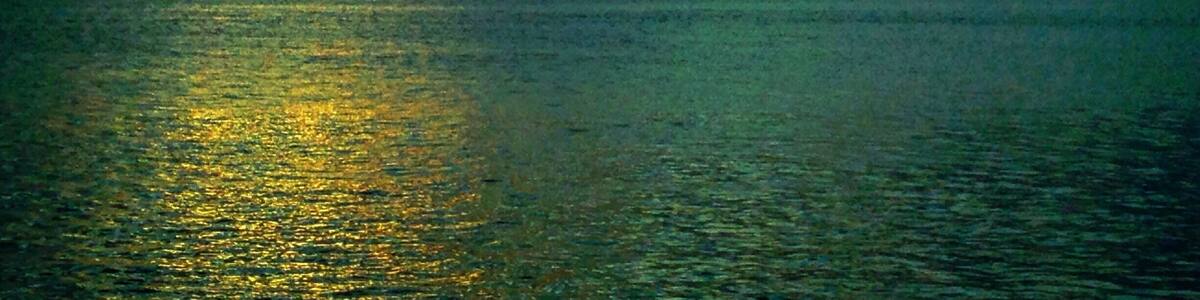 Every year we are blessed to go on a family adventure! This year was Key West #AquaTrove #NomadicSoul #TravelinLight #SharkAttack
#BeachBound
#Waterlust
#Colorful