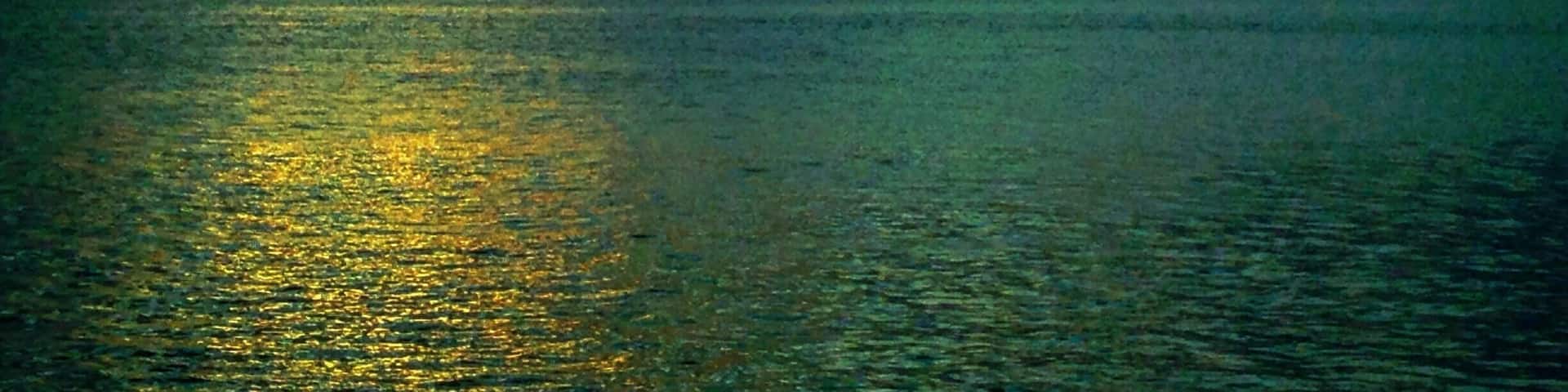 Every year we are blessed to go on a family adventure! This year was Key West #AquaTrove #NomadicSoul #TravelinLight #SharkAttack
#BeachBound
#Waterlust
#Colorful