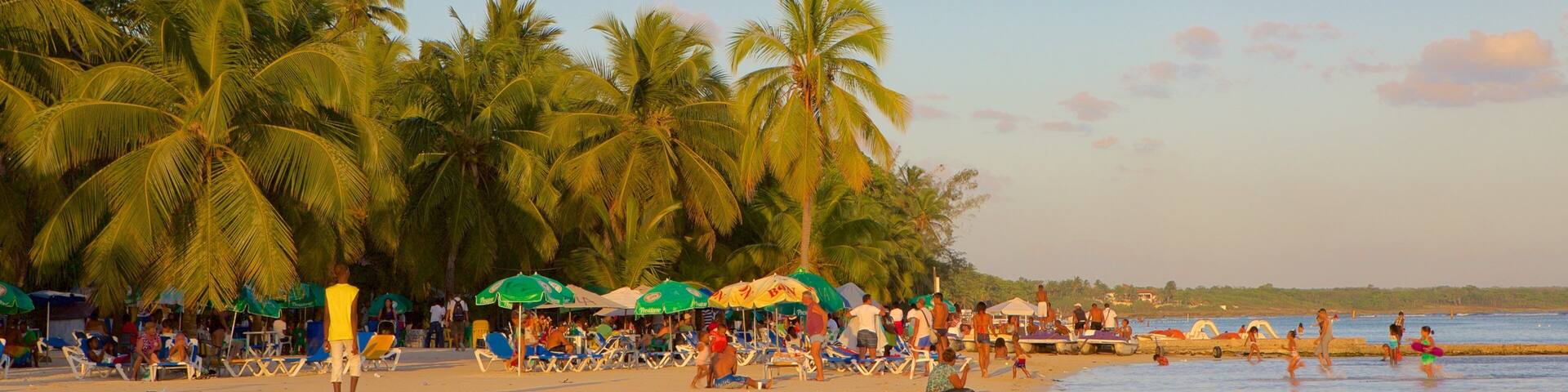 Dominican Republic showing a beach