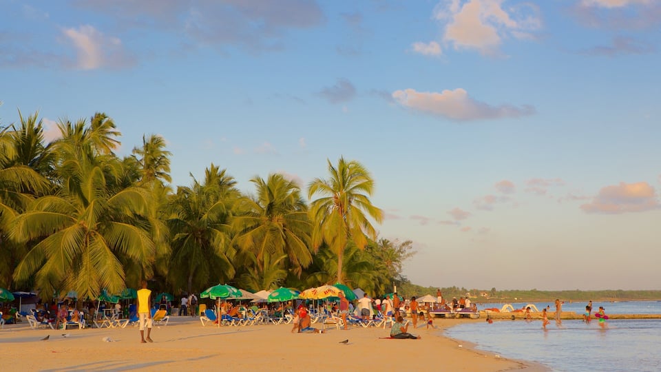 A beach with palm trees, people sunbathing, and boats in the water.