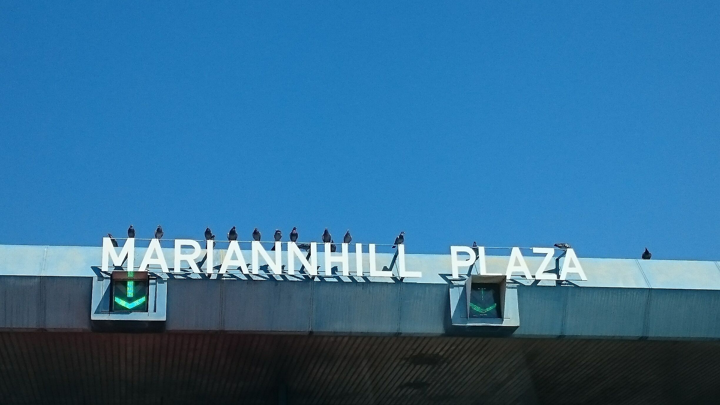 Doves watching the traffic passing through the toll. #Blue #Durban #Birds 
