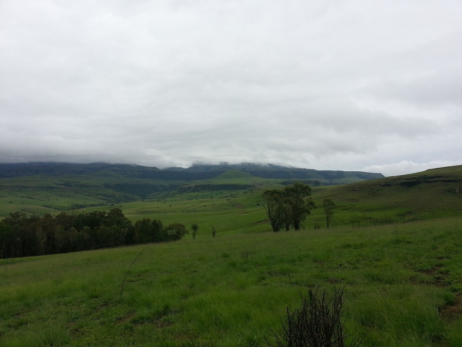 Taken at Bergville Cottages with the Amphitheatre Mountains in the background.