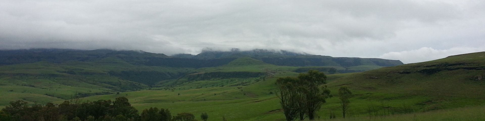 Taken at Bergville Cottages with the   Amphitheatre Mountains in the background.