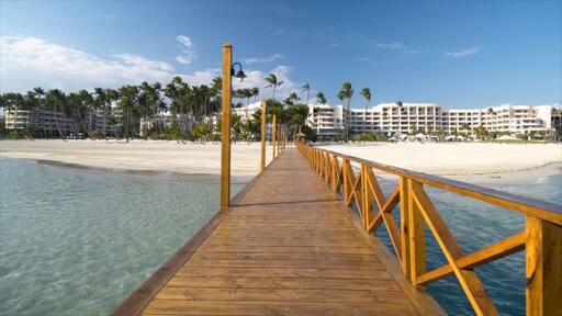 Juan Dolio che include località costiera, spiaggia sabbiosa e vista