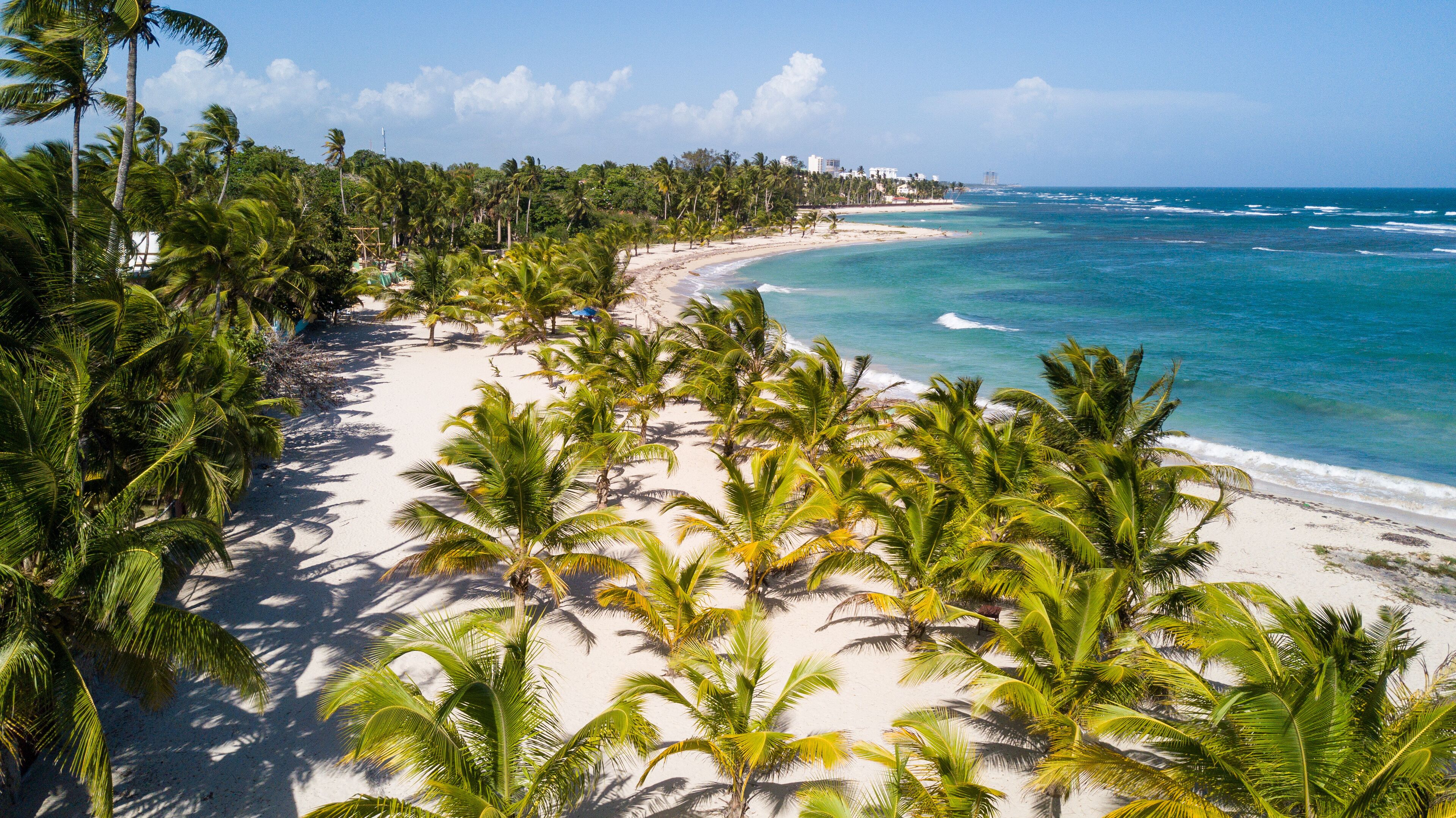 A tropical beach with palm trees and clear blue waters.