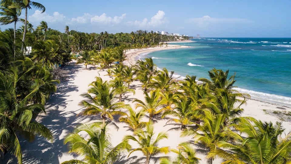 A tropical beach with palm trees and clear blue waters.