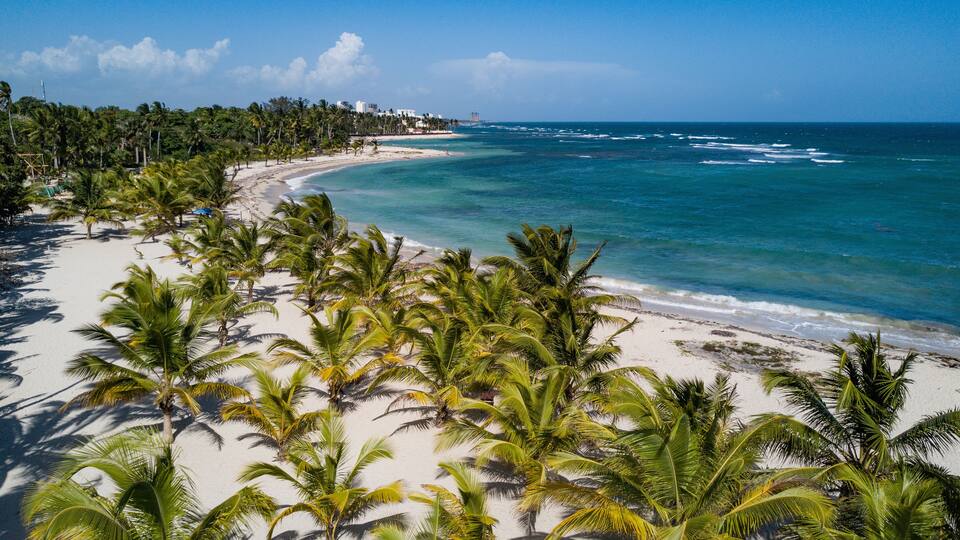 A tropical beach with white sand, clear turquoise waters, and palm trees.