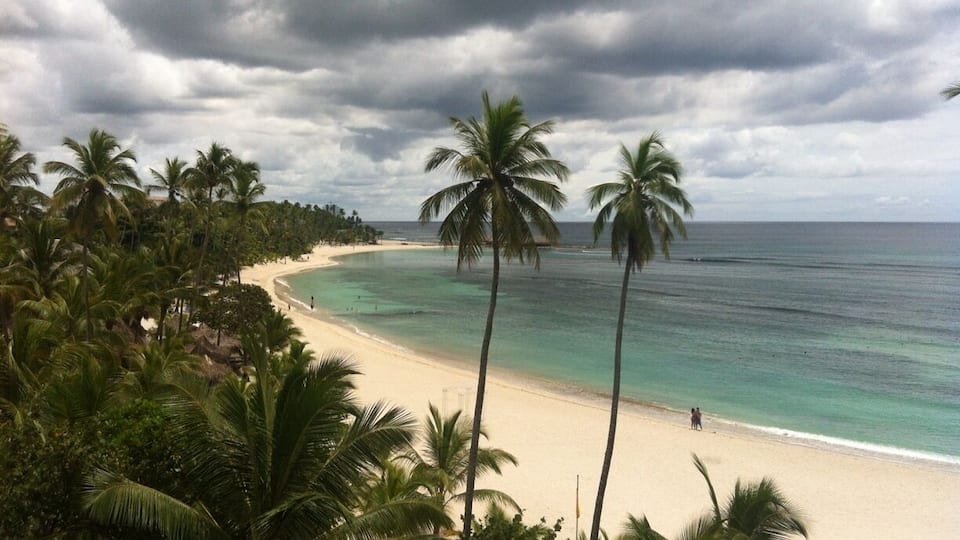 A beach with palm trees and a cloudy sky.