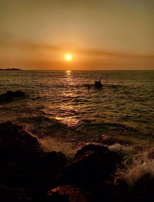 Facing the light.. or looking forward to? #golden #golden_hour