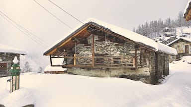 A snowshoe ride during 3 hours with Jerome our guide from Tignes office guide - a real Pleasant moment