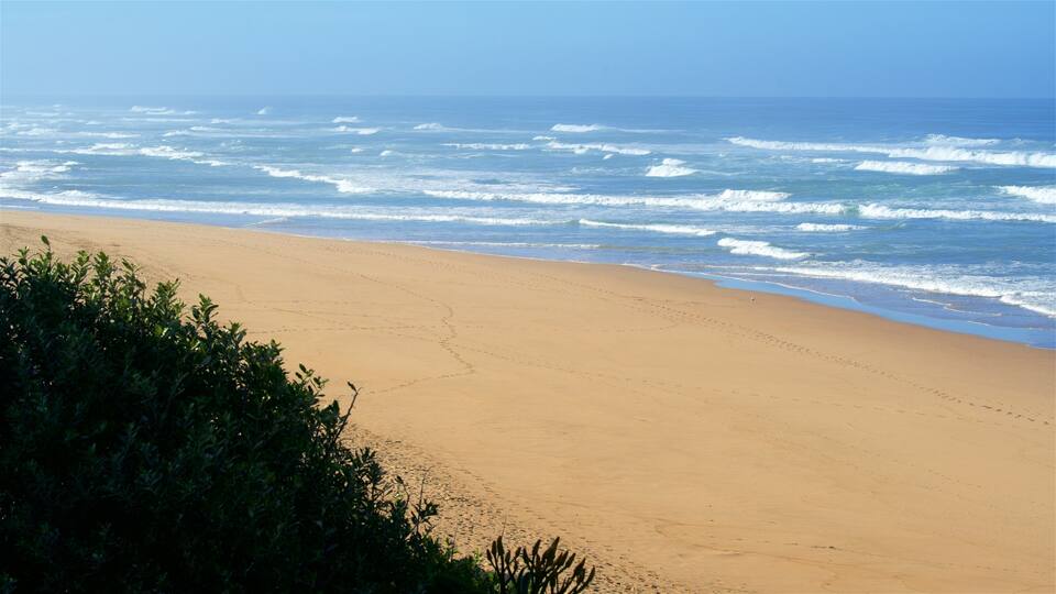 A sandy beach with waves crashing onto the shore and some greenery in the foreground.