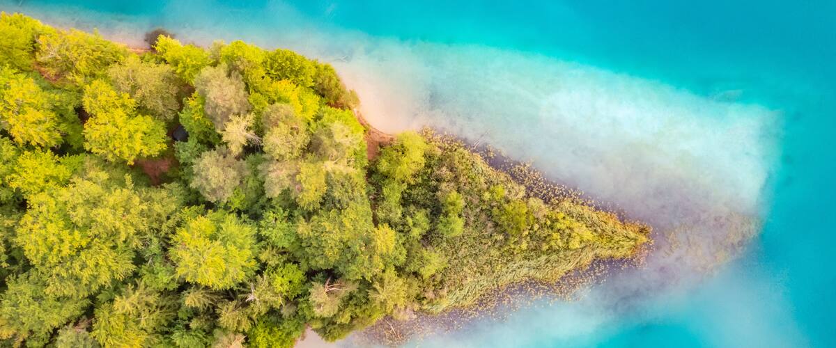 Vue aérienne d’une forêt côtière, avec des eaux turquoise limpides et une plage de sable.