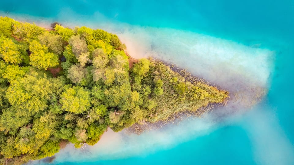 An aerial view of a coastal forest with clear turquoise waters and a sandy beach.