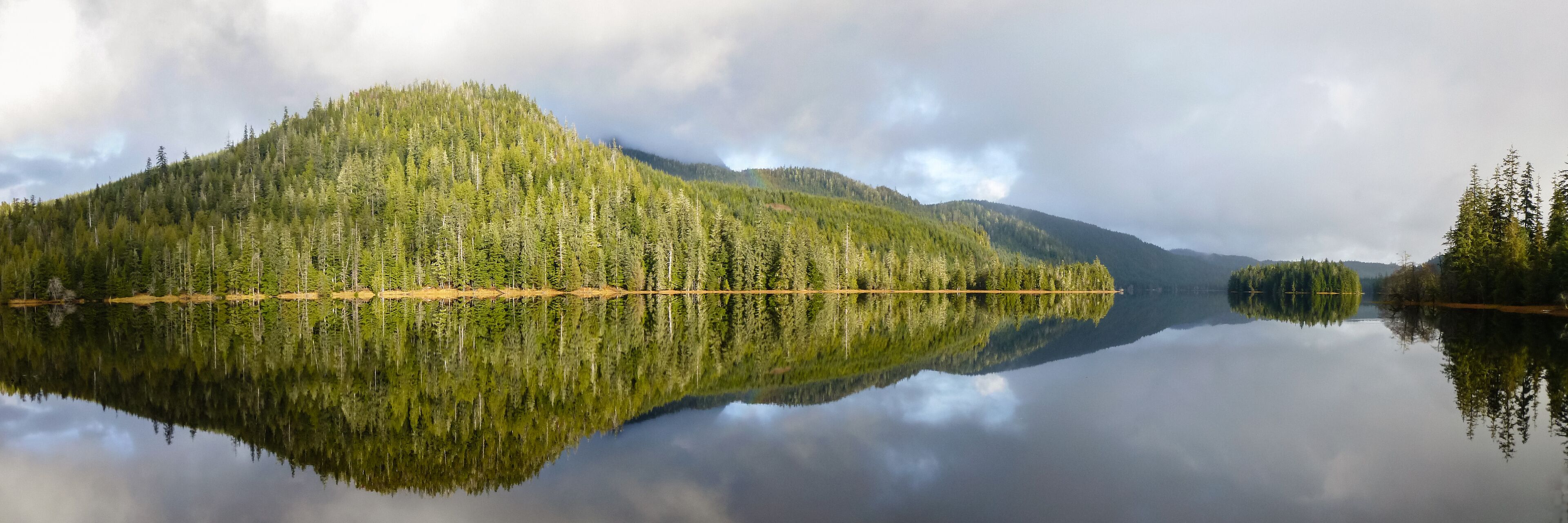 A calm lake reflecting a dense forest and a mountain.