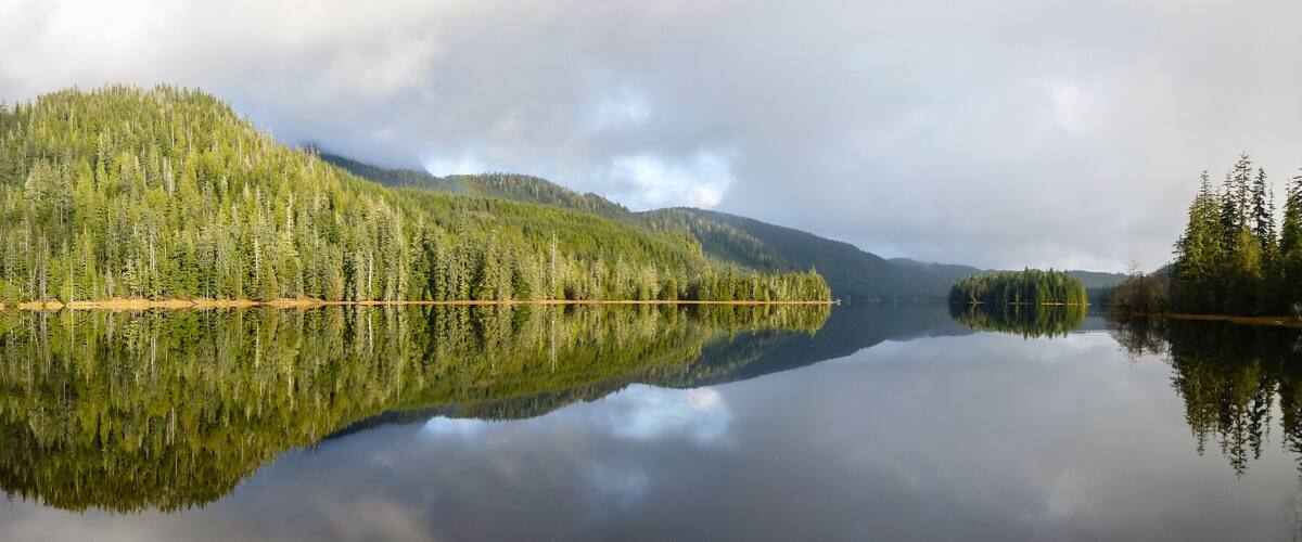 A calm lake reflecting a dense forest and a mountain.