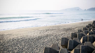 The wave of Miyazaki in Japan., Shutterstock ID 581807704, Purchase Order: -
